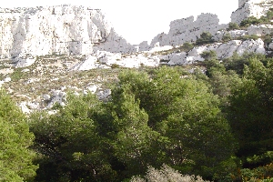 Reco du 20/01/04. La demie lune vue du chemin du Pr&eacute;sident.