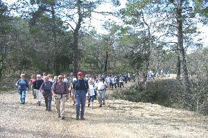 Mont Aur&eacute;lien rando du 11 mars 2003. Le commando de l'ANR en approche finale.