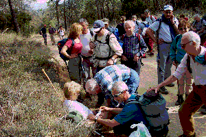 Rando Mont Aur&eacute;lien. Le 11 mars 2003. Le marabout dans ses oeuvres!